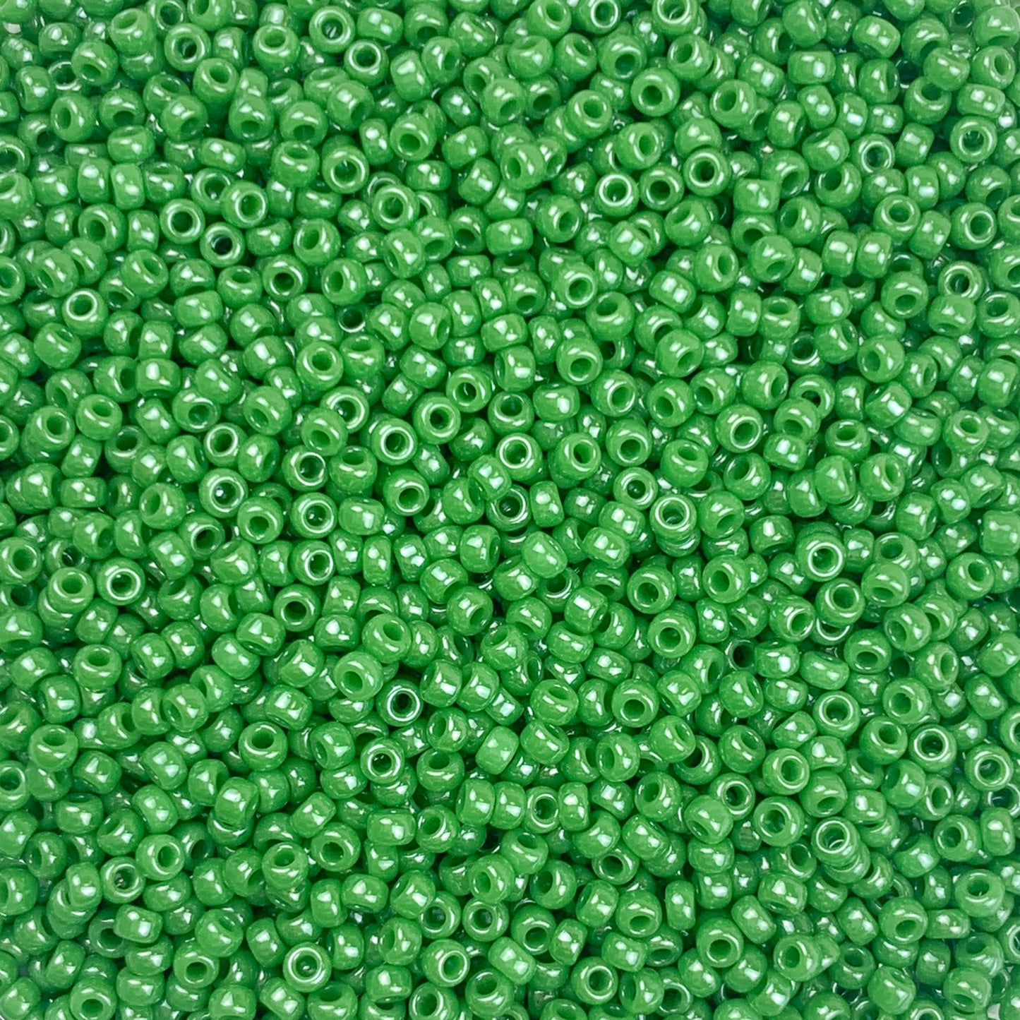 Evergreen - Miyuki Round Seed Beads (0431) | 11/0 Green Opaque Finish | 10g